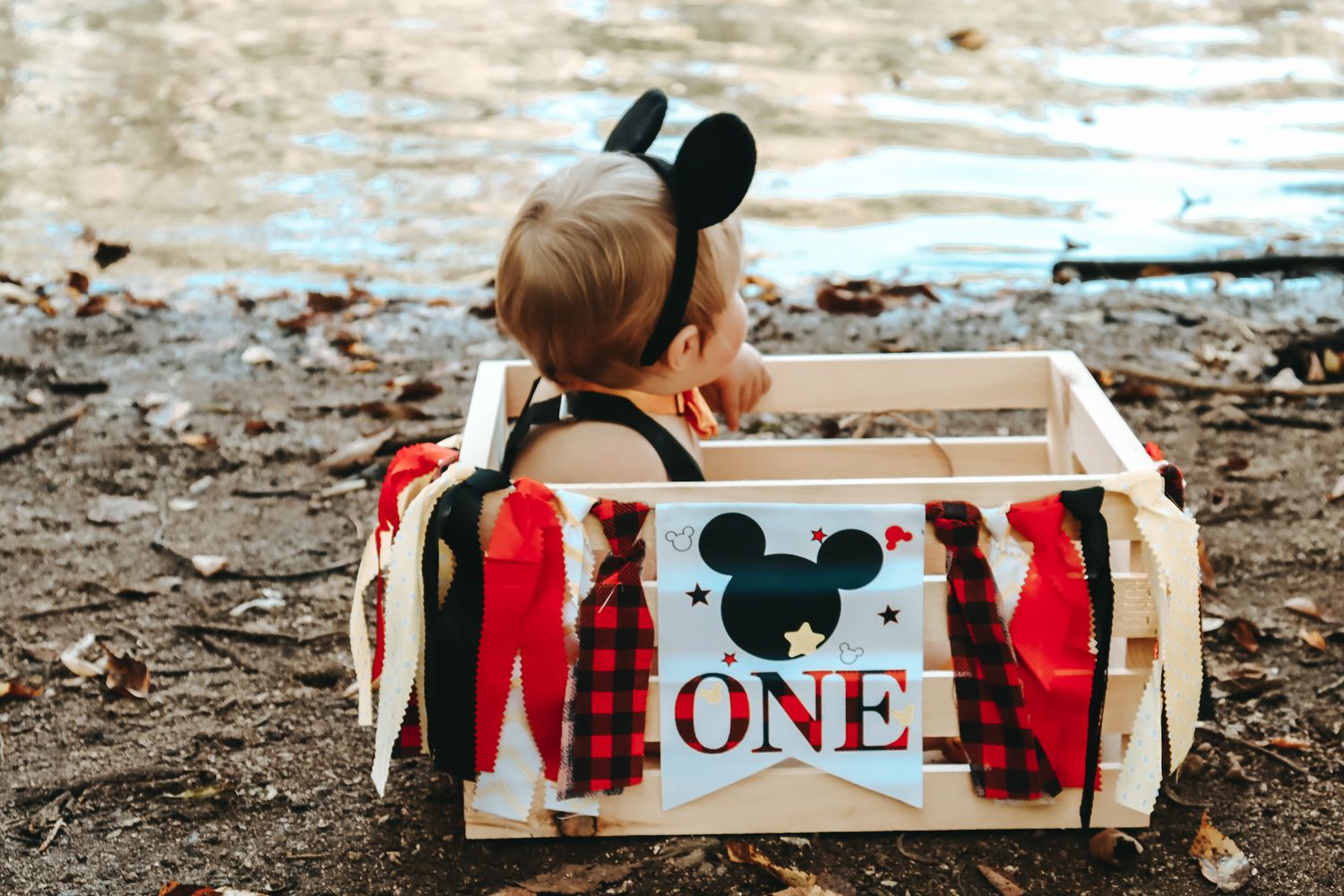 Wooden box decorated with Mickey Mouse themed 'ONE' banner and red garland sits by the water.