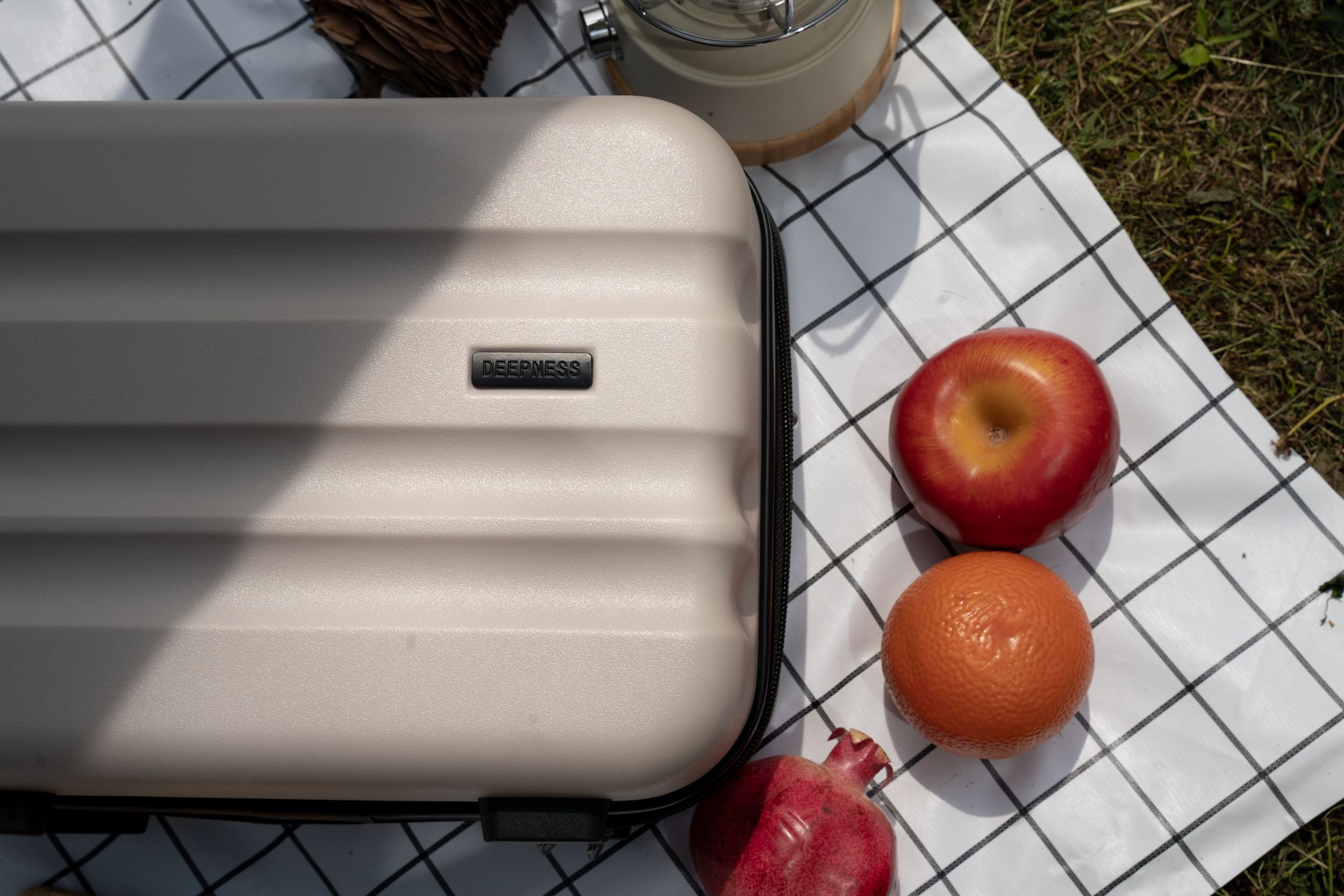 Beige luggage case with apples and oranges on picnic blanket in natural lighting.