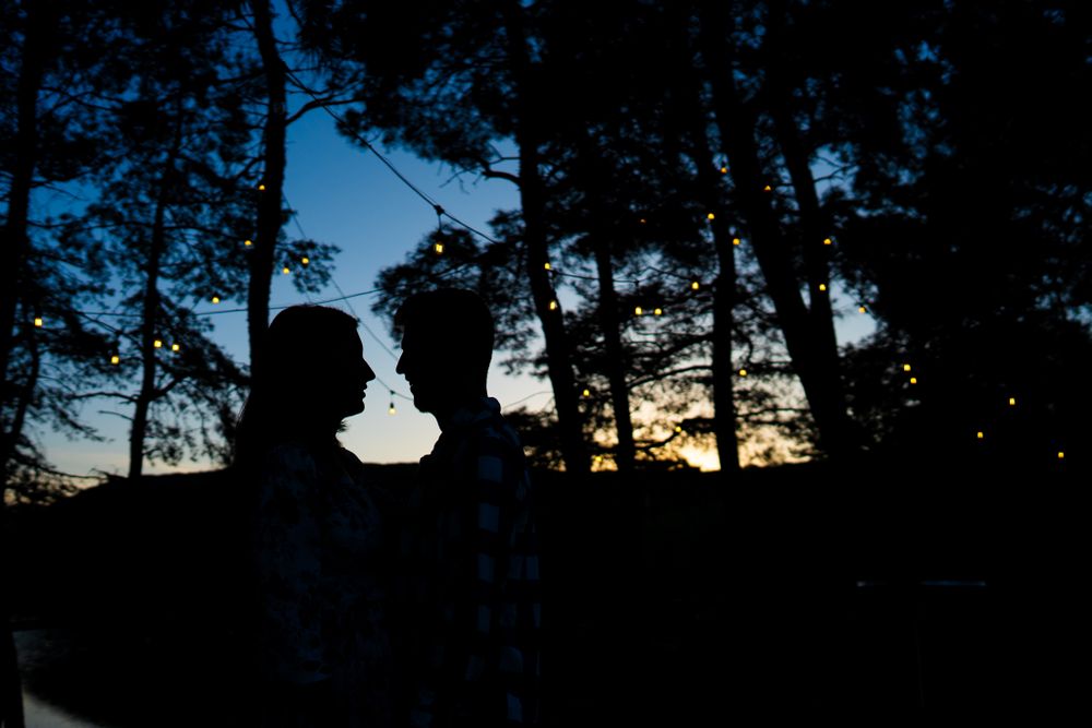 Silhouettes of a couple against a dramatic blue sunset sky through pine trees.