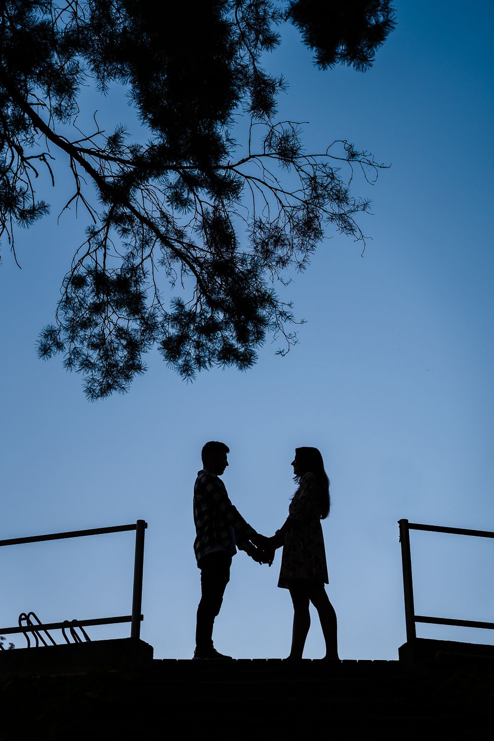 Silhouettes of people standing against blue sky with tree branches overhead.