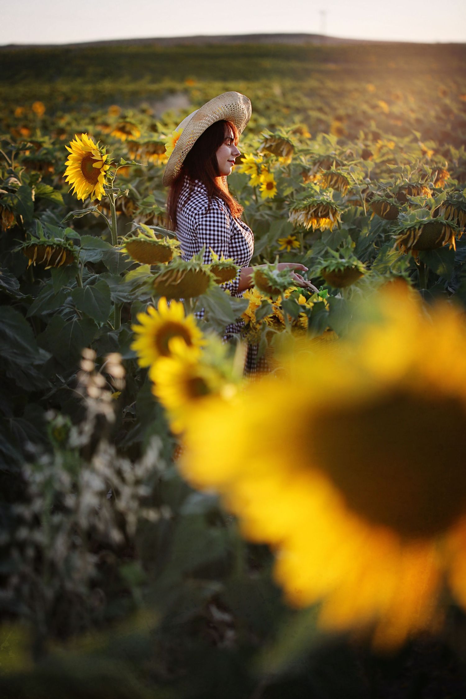 Dreamy portrait in a sunflower field during golden hour with flowers in soft focus.