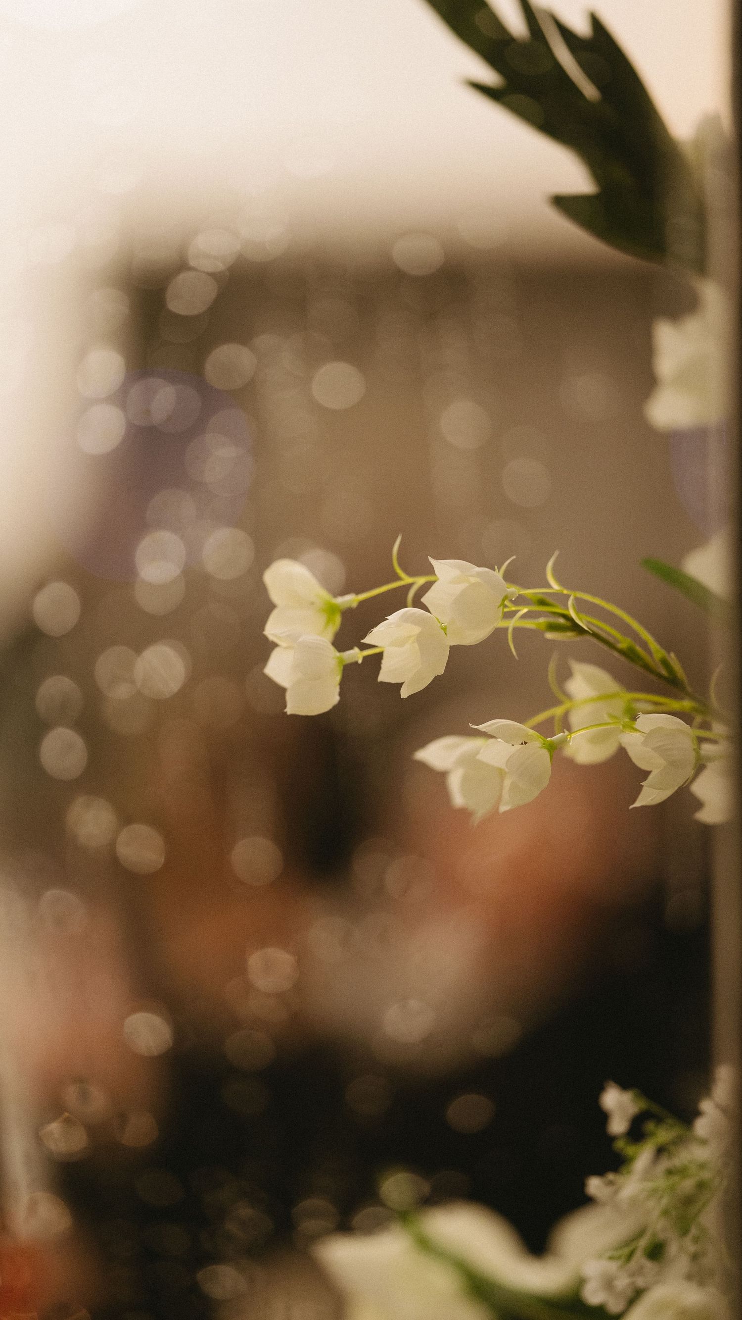 Delicate white lily of the valley flowers with bokeh lights in soft focus.
