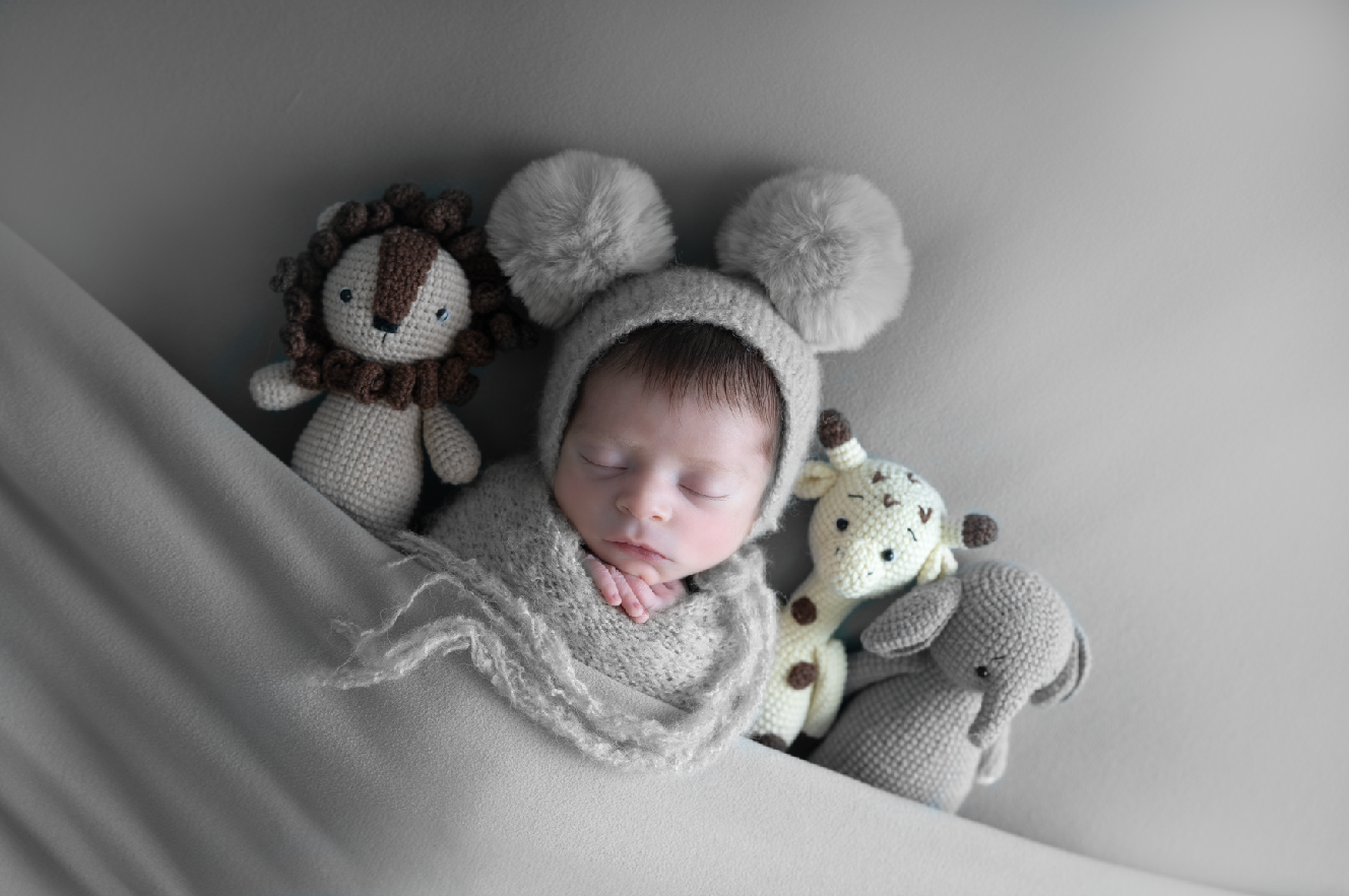 Newborn baby sleeping in gray knit wrap and mouse bonnet surrounded by stuffed animal toys in a studio photo. Embracing Life’s Beauty