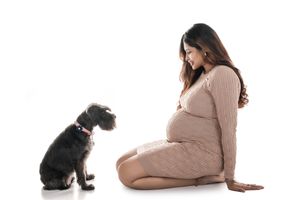 Side view of expectant mother in pink dress sitting with attentive black dog.