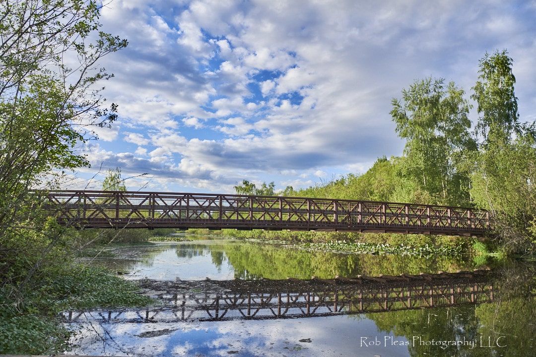 Bridge spanning at Mercer Slough with calm water, lots of spring color, and beautiful clouds