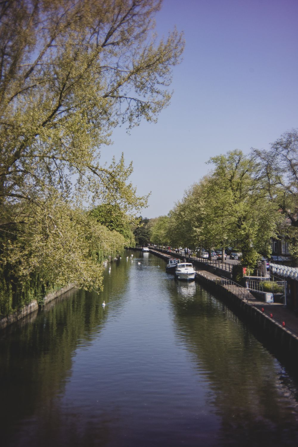 Moored canal boats line the tranquil waterway with overhanging trees along Little Venice in London on a sunny day.