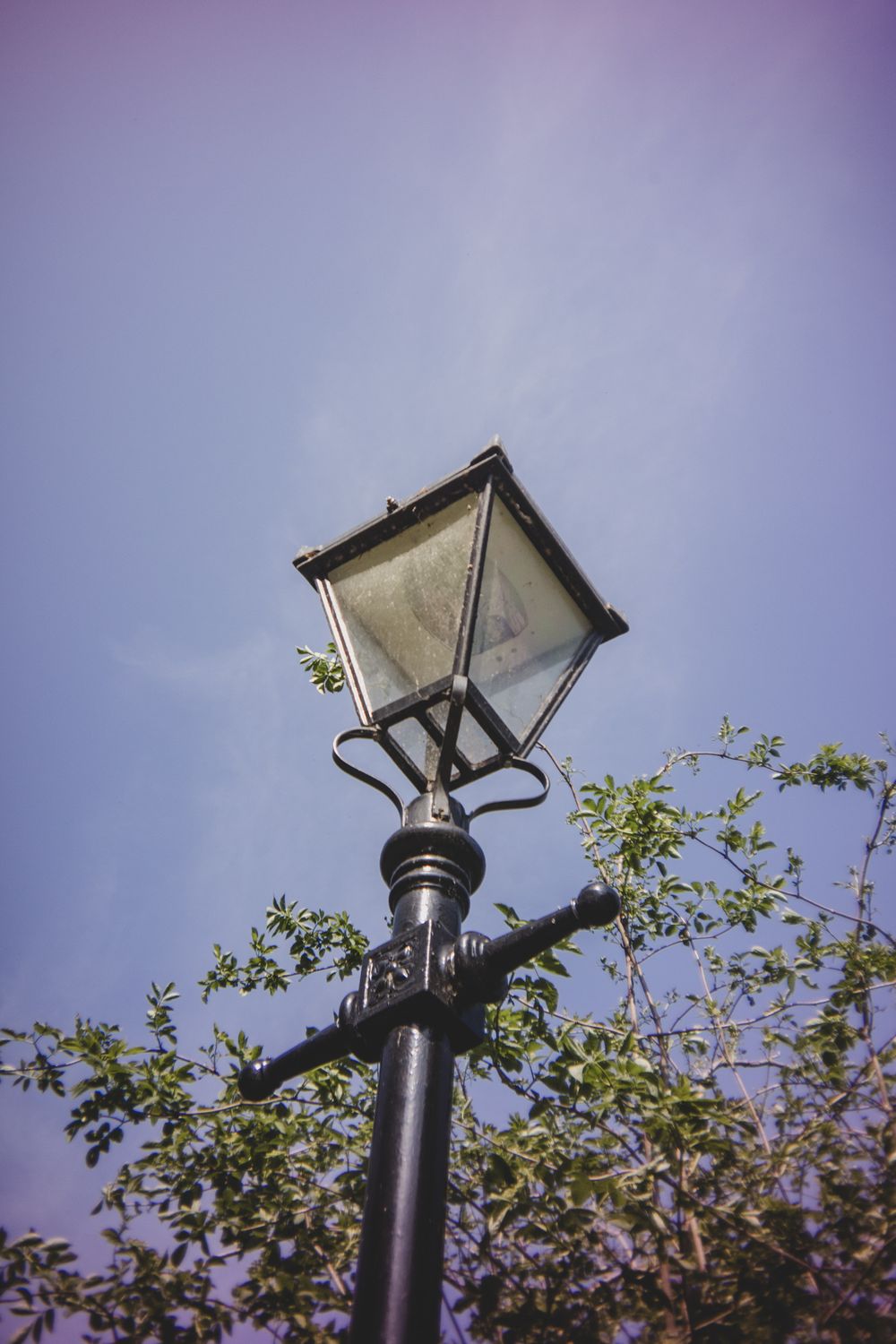 Vintage street lamp post with decorative lantern head against purple sky with green tree branches in background.