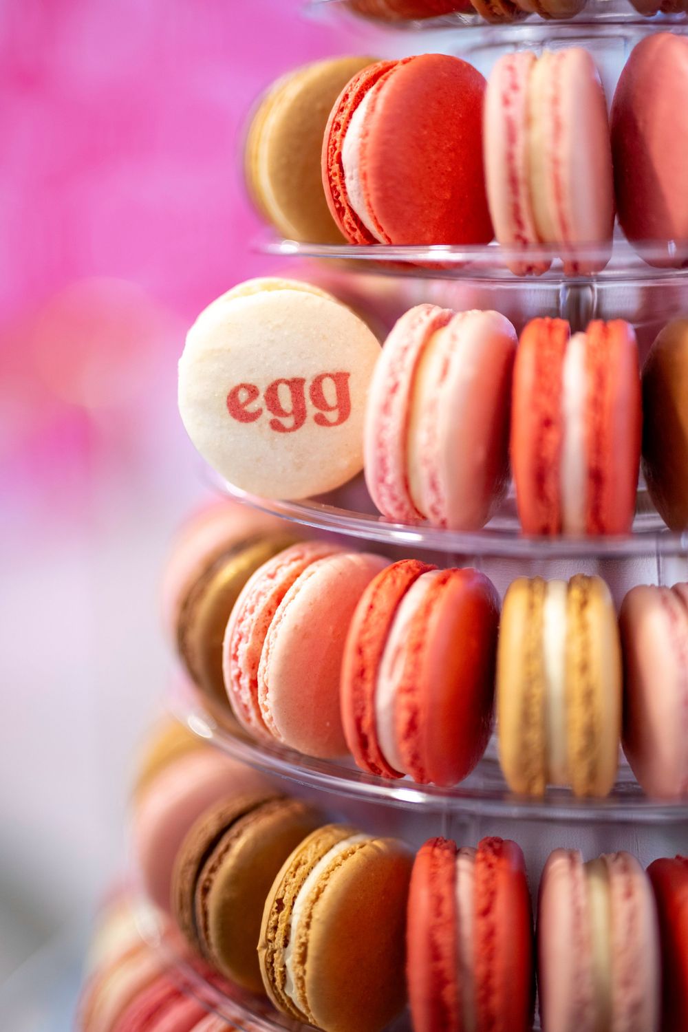 Egg, Corporate Event Photography