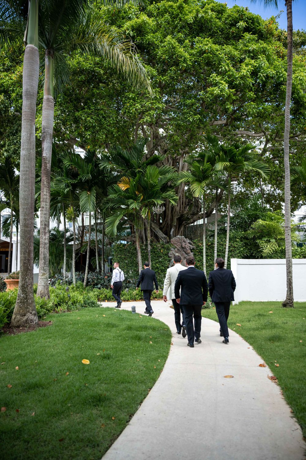 People walking on a white concrete pathway lined with tall palm trees and lush tropical landscaping.