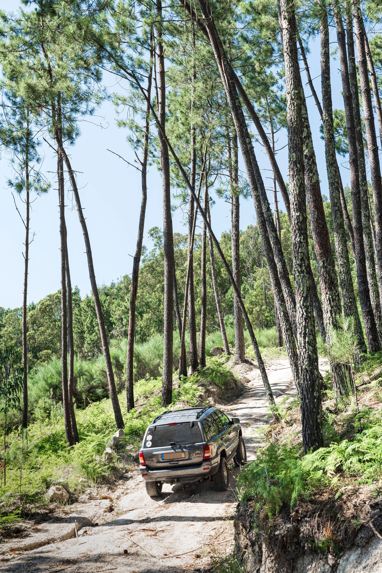 Jaap safari, quinta valbom