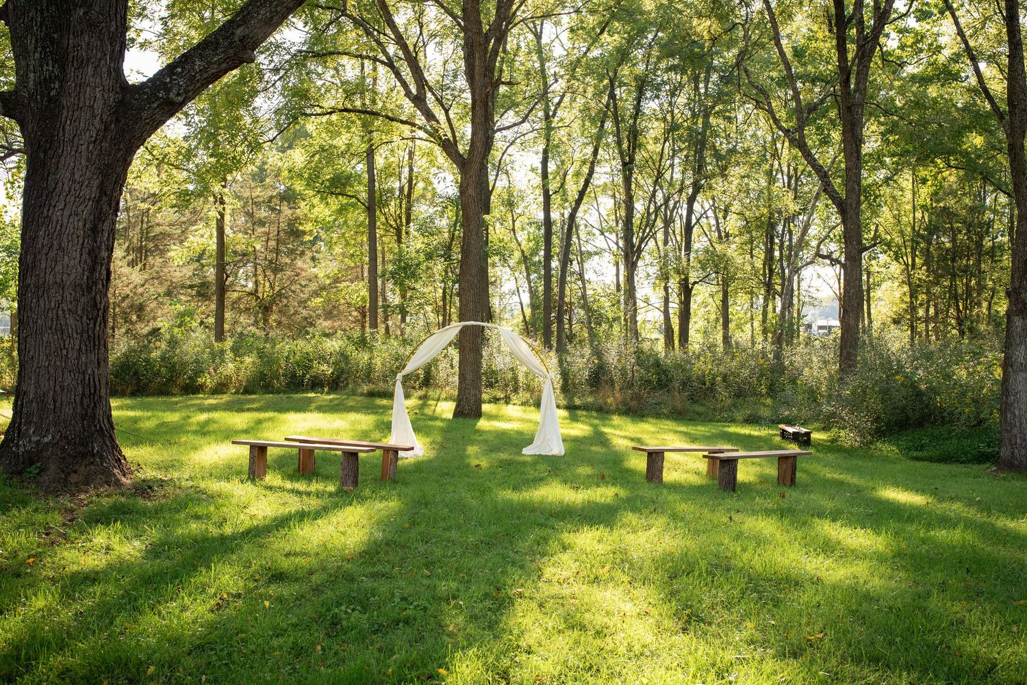 Panoramic view of a serene wooded area with green grass and dappled sunlight.