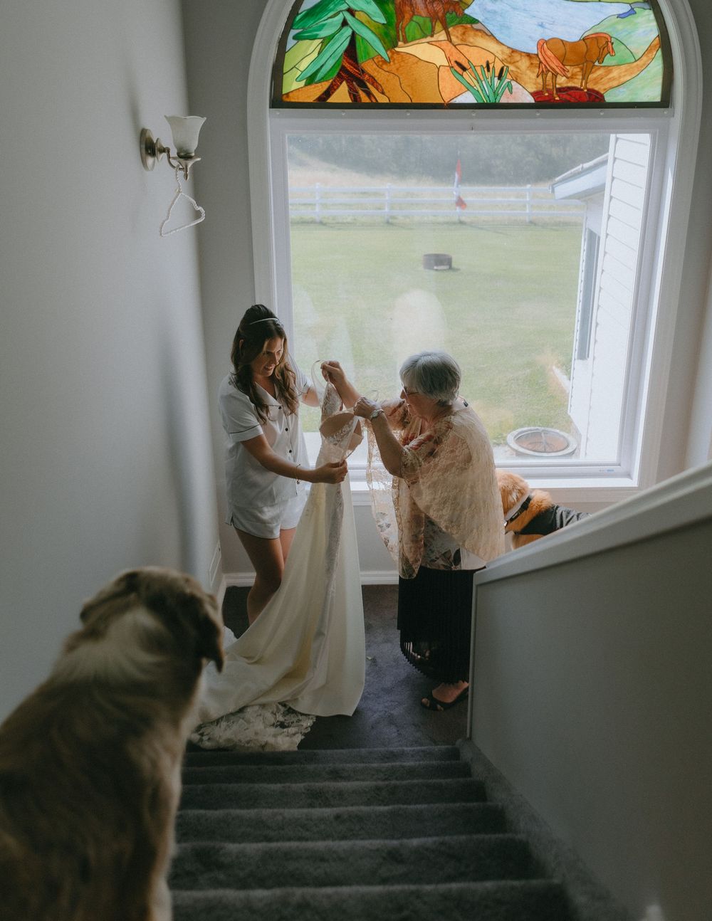 A quiet moment on the stairs by a window with a dog watching as preparations take place in the warm natural light.