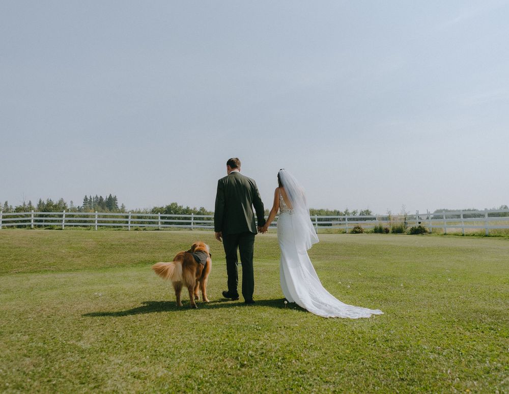 Newlywed couple stands with their golden retriever in a green field surrounded by white fences on their wedding day.