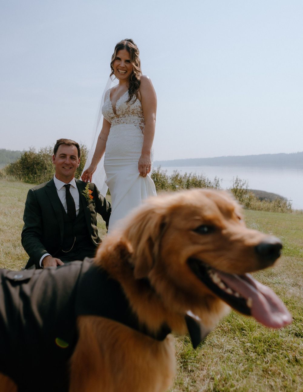 A happy couple poses for wedding photos in a scenic outdoor setting with their golden retriever dog in the foreground.