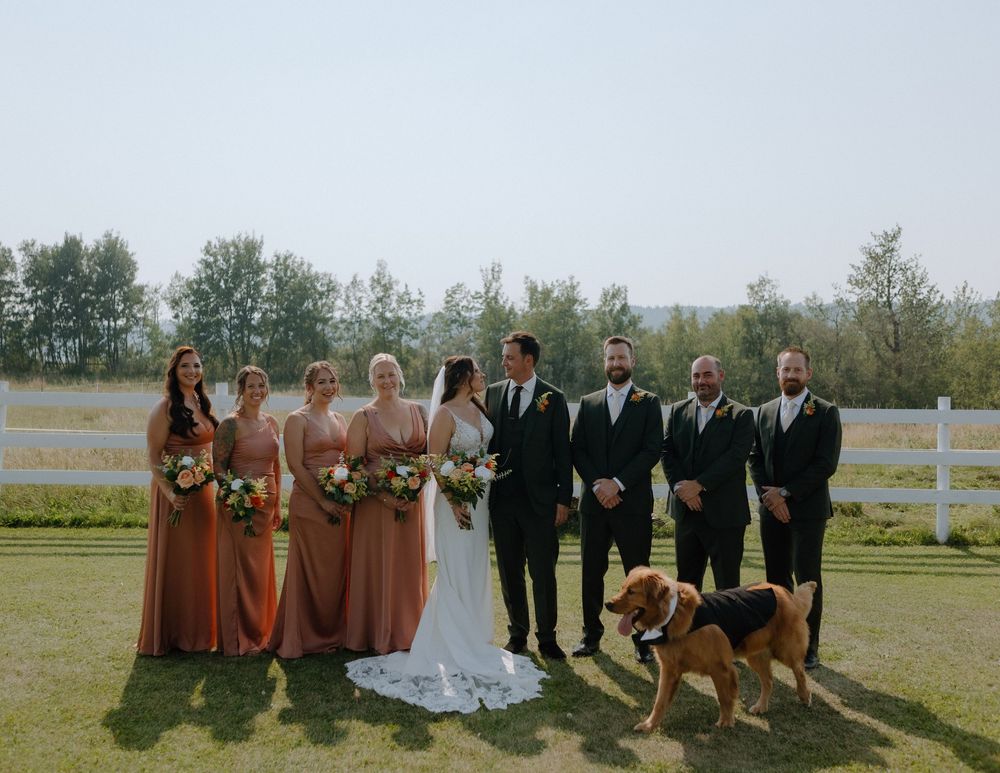 A wedding party stands outdoors by white fences with a brown dog in the foreground at a countryside venue.