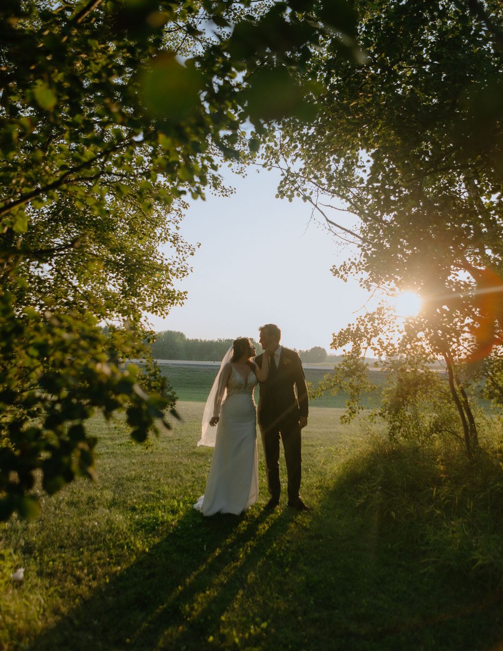 A romantic sunset wedding photo shows silhouettes against a golden field framed by green tree branches.