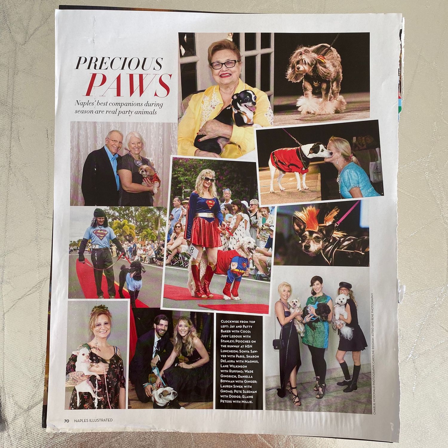 Naples Illustrated magazine Precious Paws feature spread showcasing pets at social events.