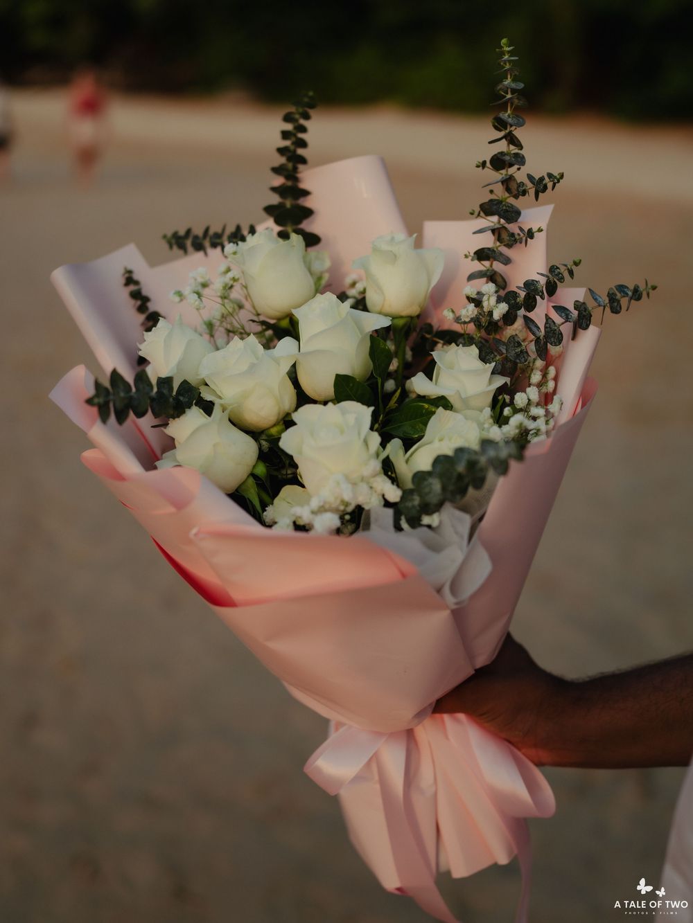 A delicate bouquet of white roses wrapped in soft pink paper with eucalyptus accents.