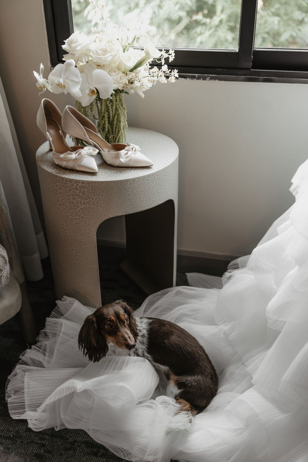 A cat lounges comfortably on a flowing white wedding dress train laid across the floor near a window.