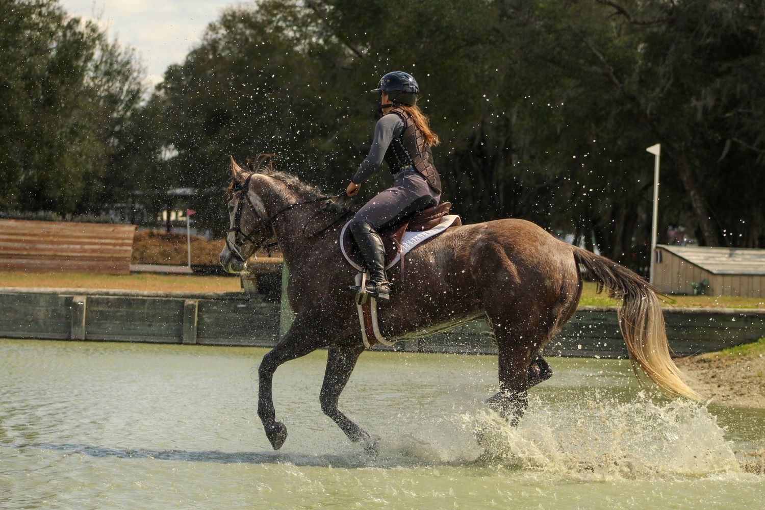 Horse cantering through water