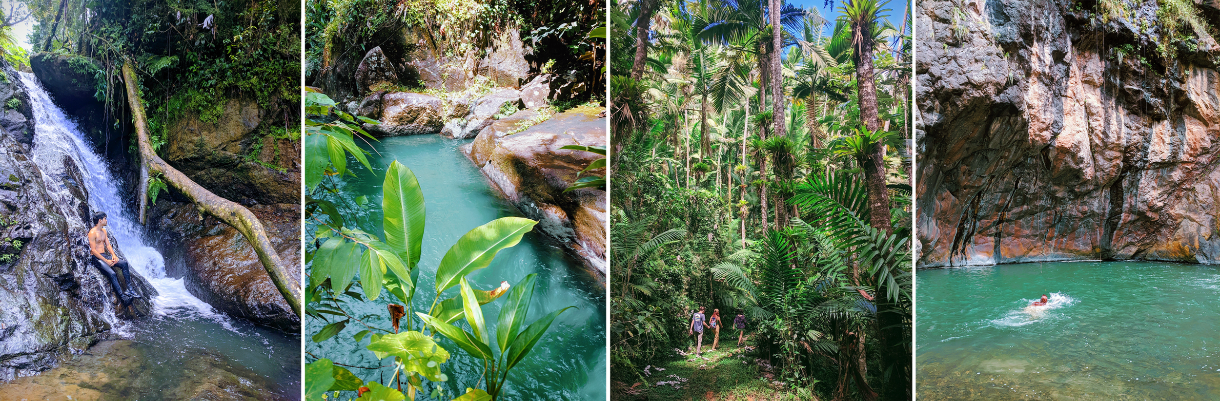 Puerto Rico private tour guide. Local guide. El Yunque. Puerto Rico travel. Nature adventure. Experiences.