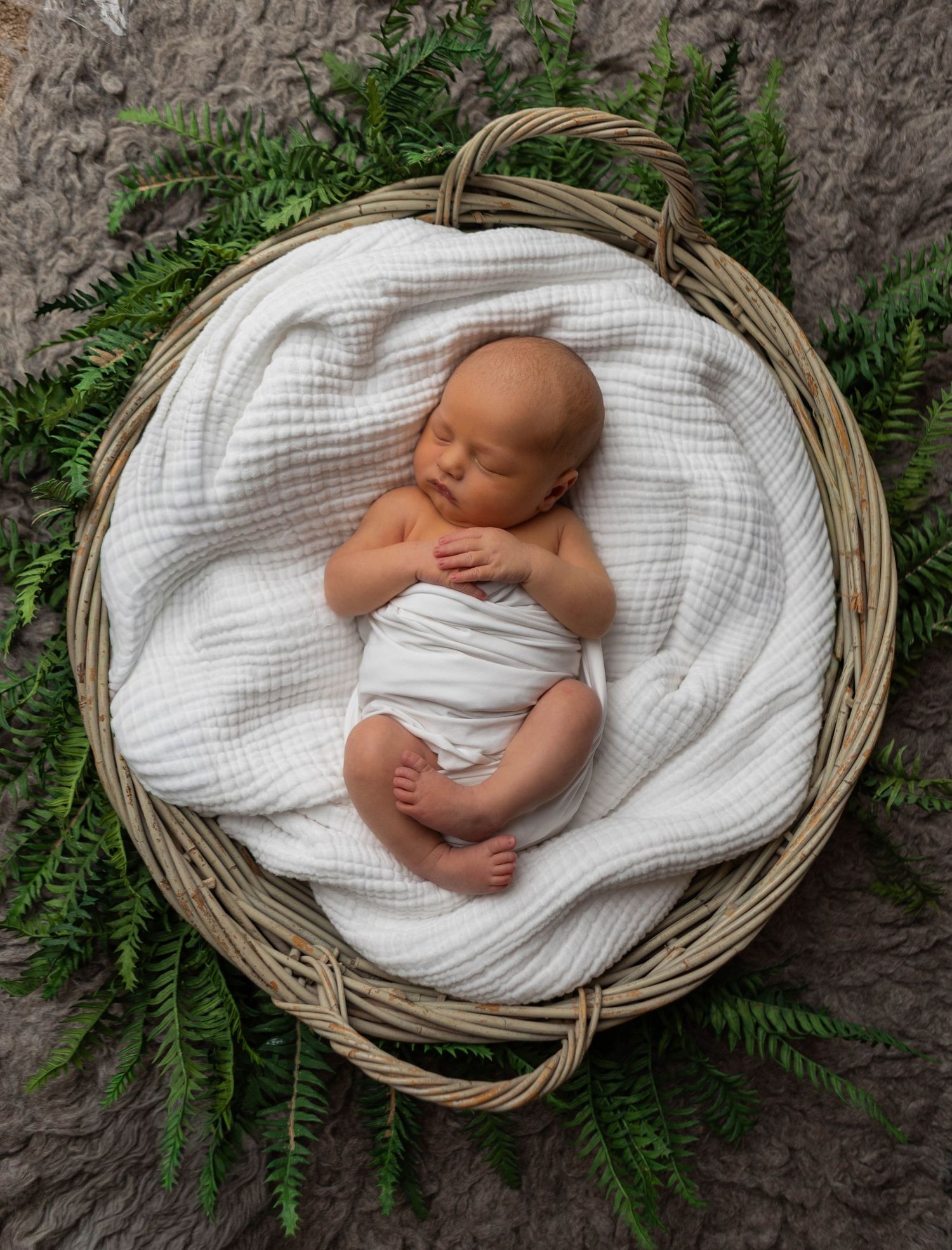 A peaceful newborn baby sleeps in a wicker basket with white fabric and green ferns.