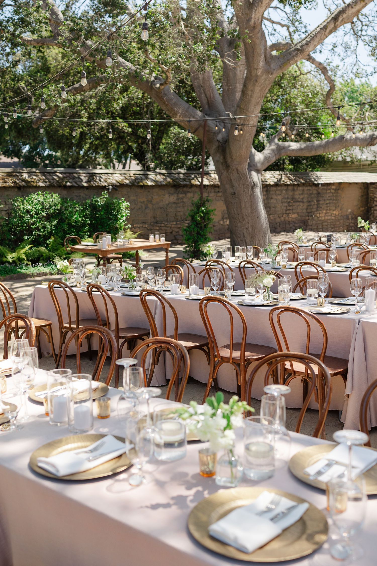 Elegant outdoor wedding reception tables set with white linens and bentwood chairs under shady trees in a garden setting.