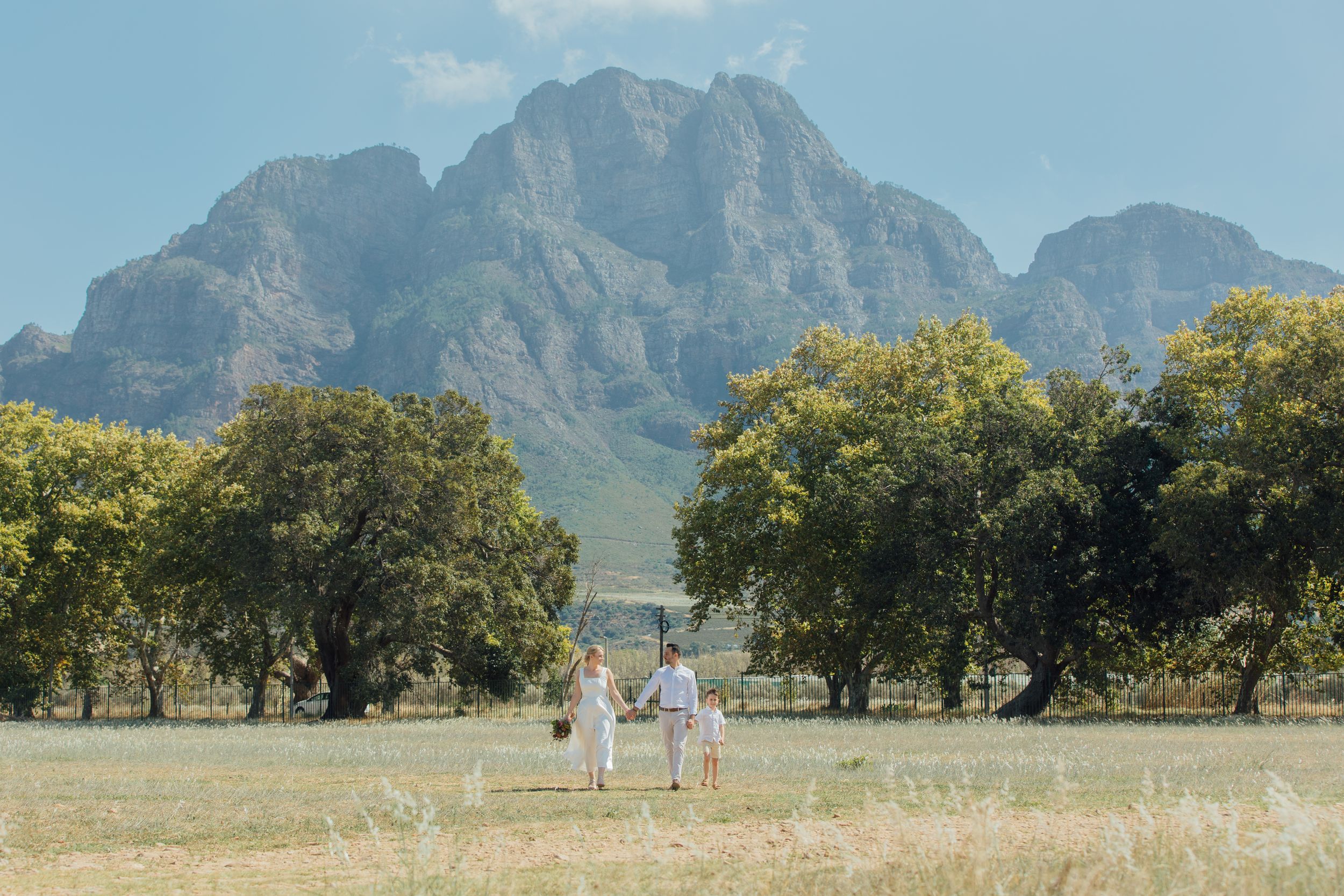 Couple walking hand-in-hand through a scenic meadow with tall trees and a dramatic mountain backdrop on a sunny day.
