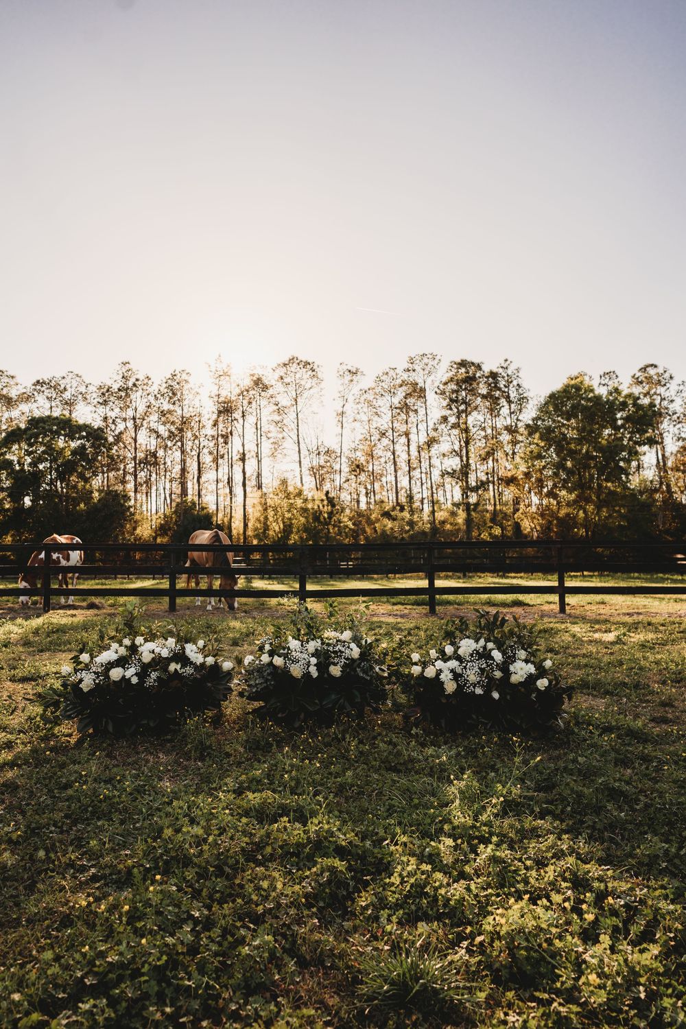 Romantic sunset proposal at a meaningful horse stable in Florida captured by a Tampa proposal photographer