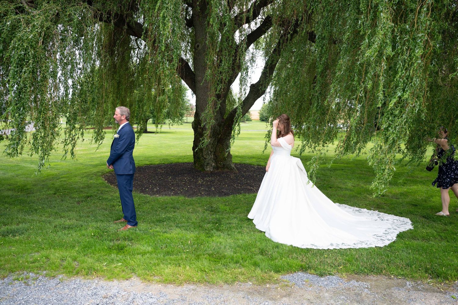 A wedding couple stands beneath a majestic weeping willow tree on a lush green lawn during their first look moment.