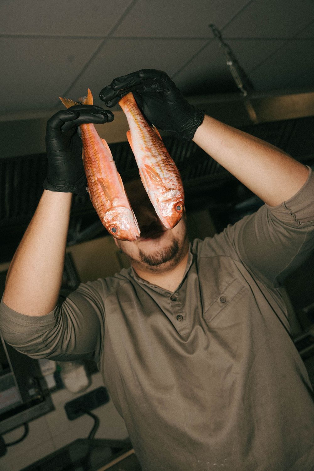Chef in black gloves holding two fresh red fish up in a professional kitchen setting.