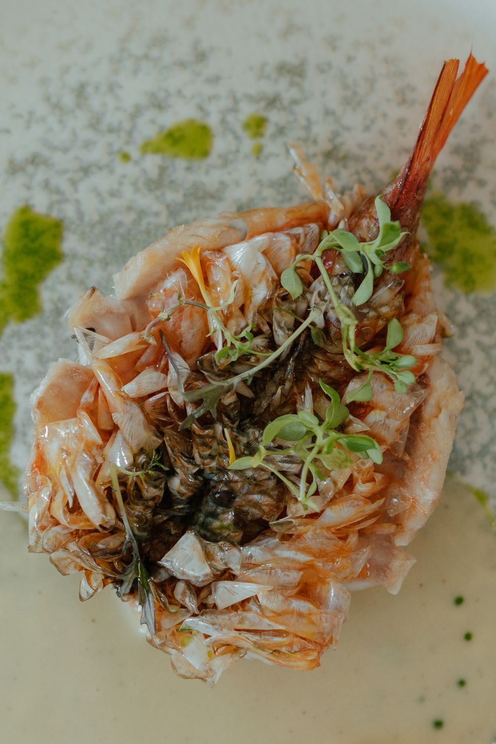 Gourmet seafood dish featuring a whole fish topped with fresh microgreens and herb oil on a white plate.