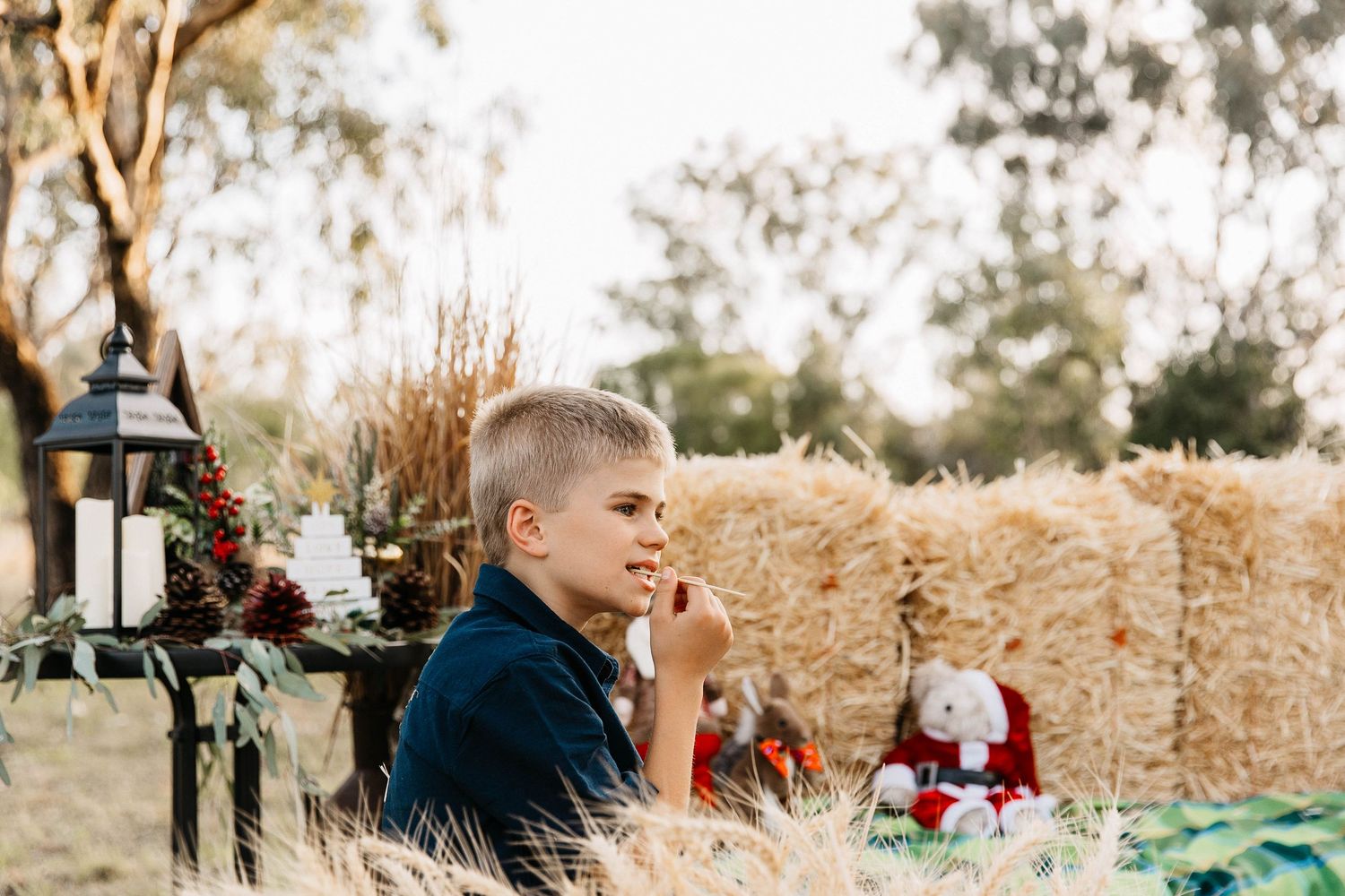 Boy chewing hay at christmas mini photo shoot