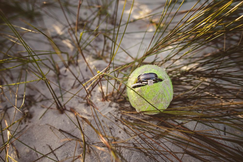 Closeup of pine needles and small green leaves scattered across sandy ground in natural lighting.