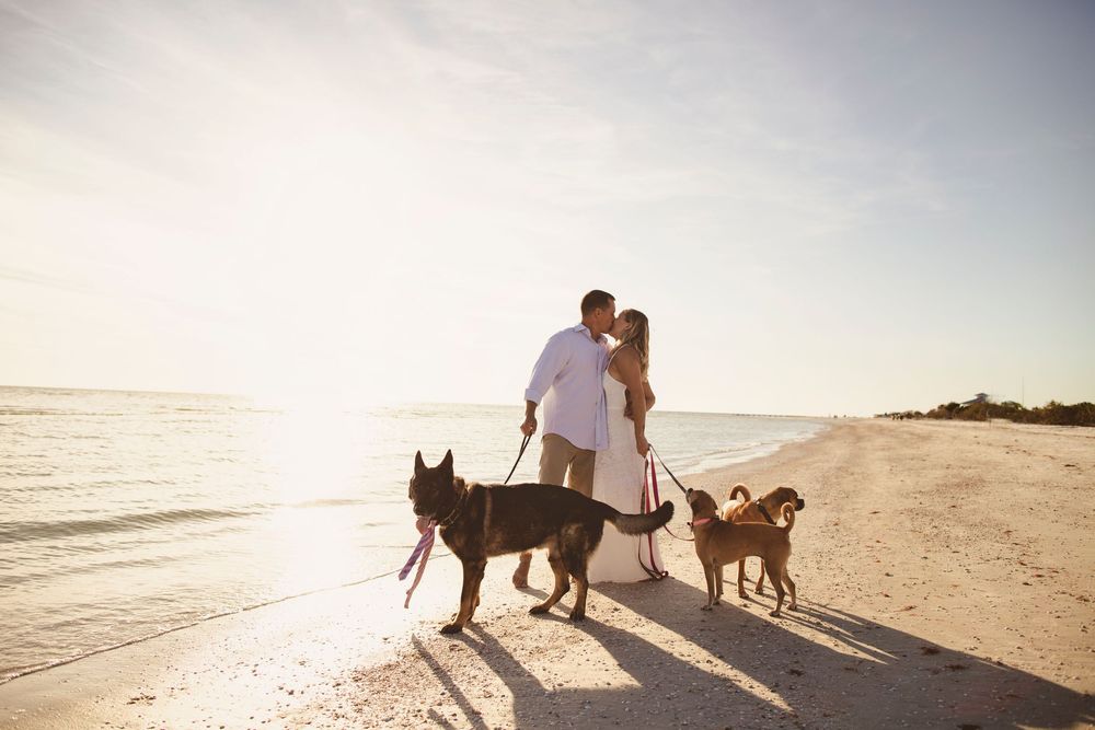 A couple stands with their two dogs on a sunny beach at sunset while waves roll in along the shoreline.