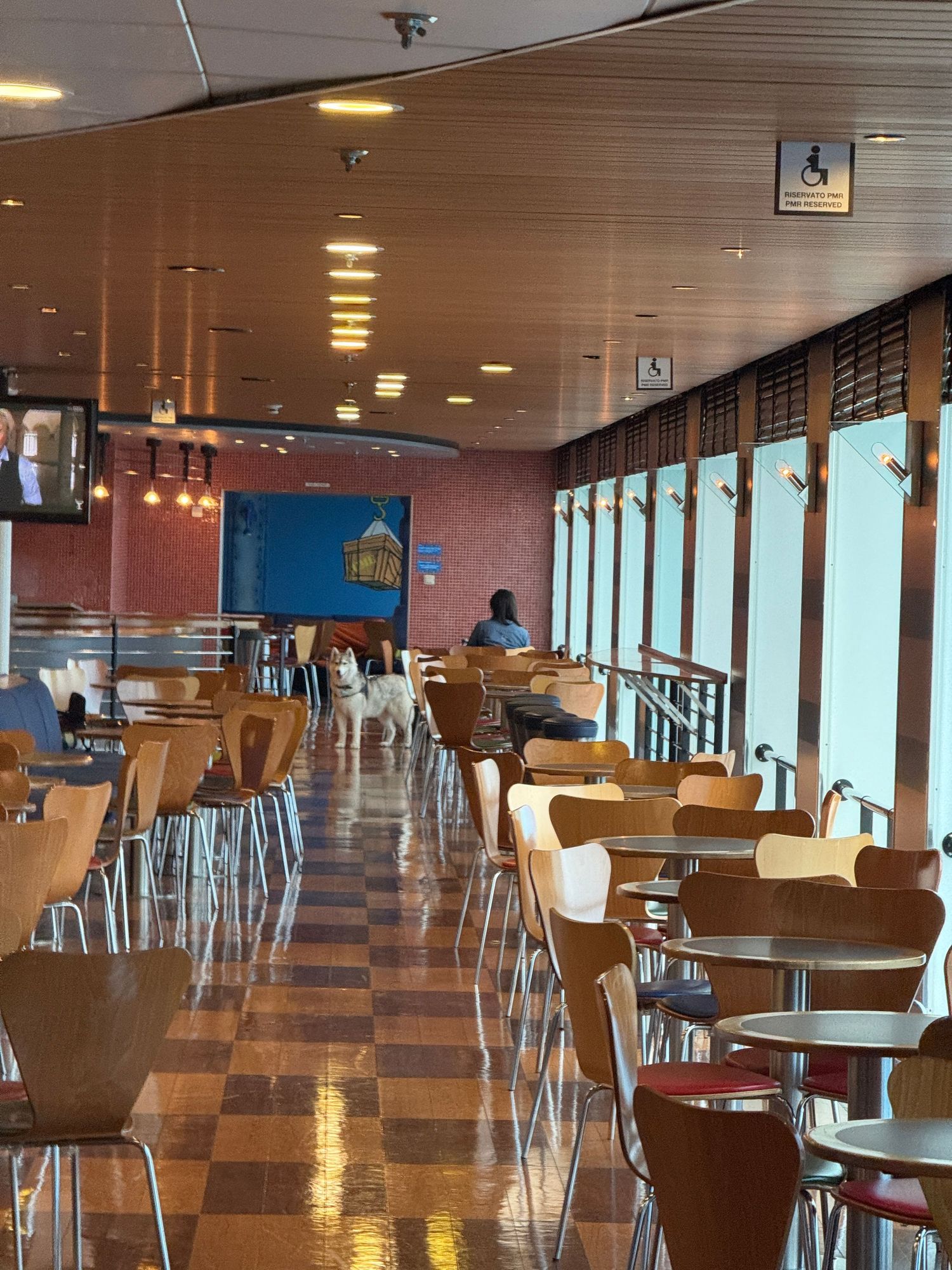 chien dans le restaurant du ferry moby lines pour aller en corse depuis gênes