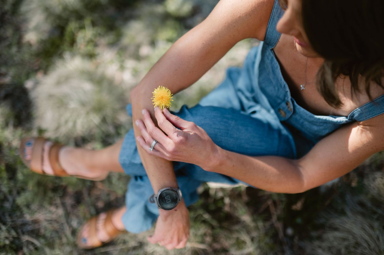 Colorado photographer in the yard with a dandelion in natural morning light, lifestyle branding photo