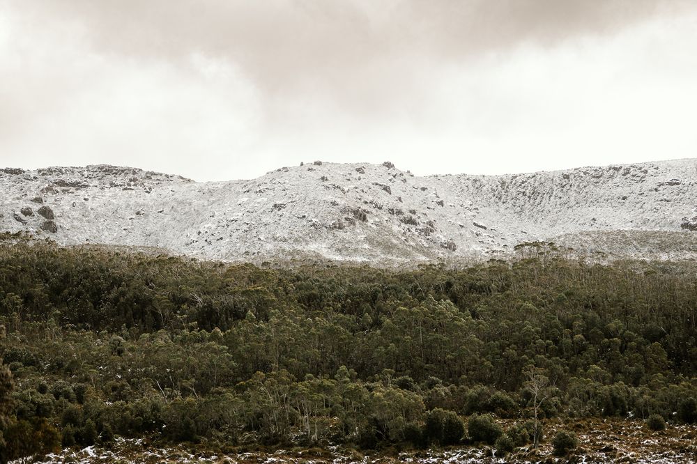 snowy landscape up Hartz Mountain National Park