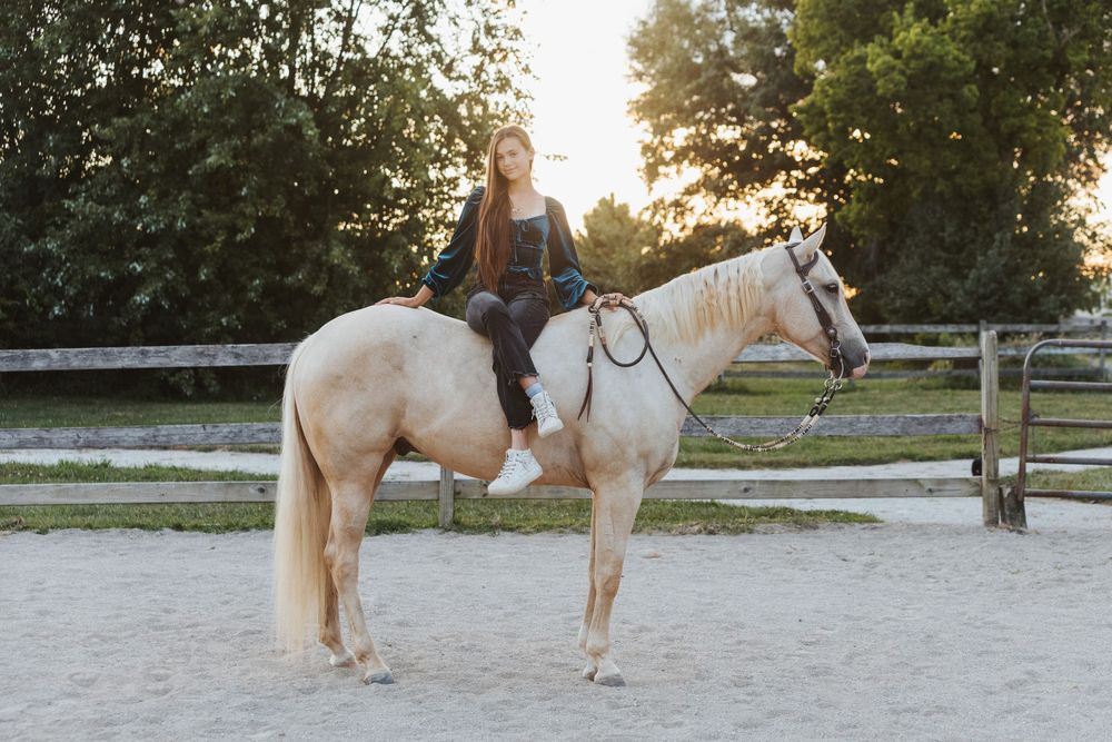 A paint horse trots gracefully in a fenced riding arena during golden hour sunlight.
