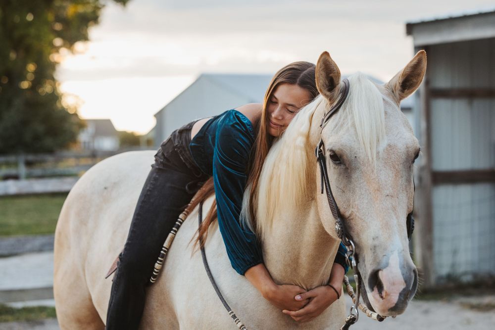 A person gently pets and bonds with a beautiful white horse in a serene outdoor setting at sunset.