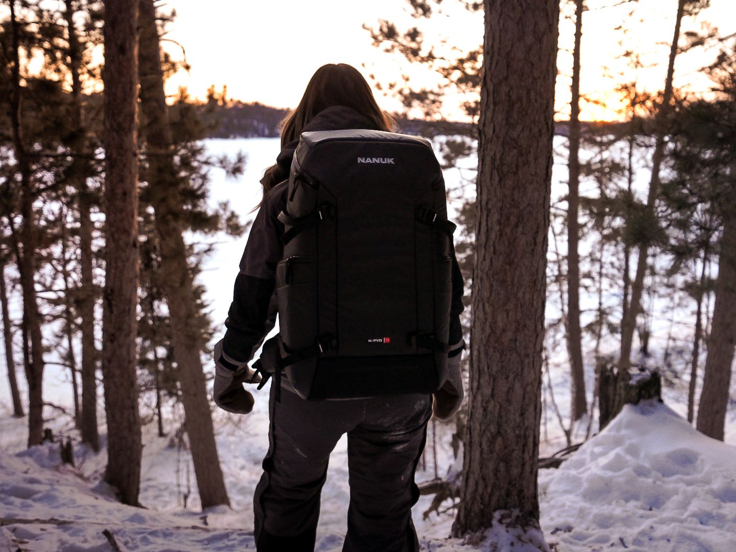 Winter forest scene with snow-covered pine trees at dusk.