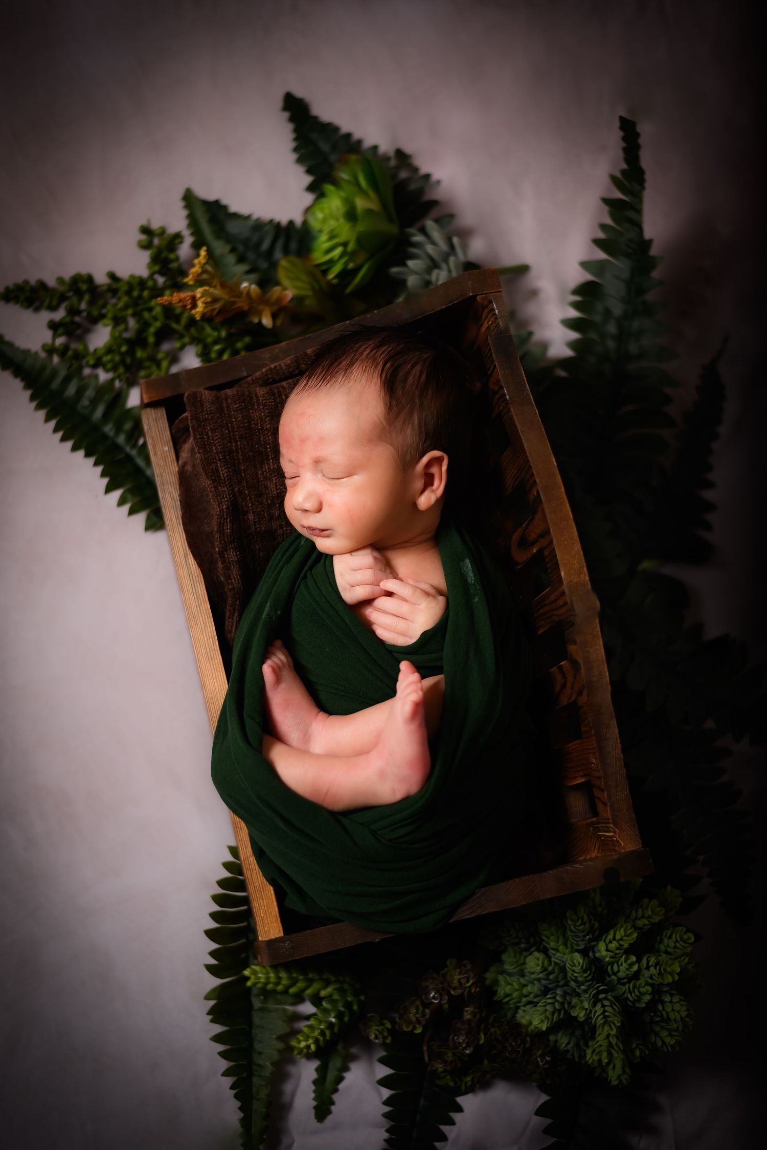 Artistic newborn photography collage featuring four similar poses in wooden frames with dark green foliage accents.