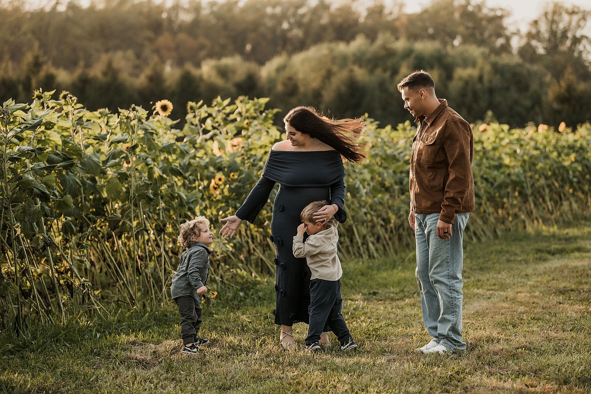 A series of candid outdoor family moments captured in a golden field during sunset.