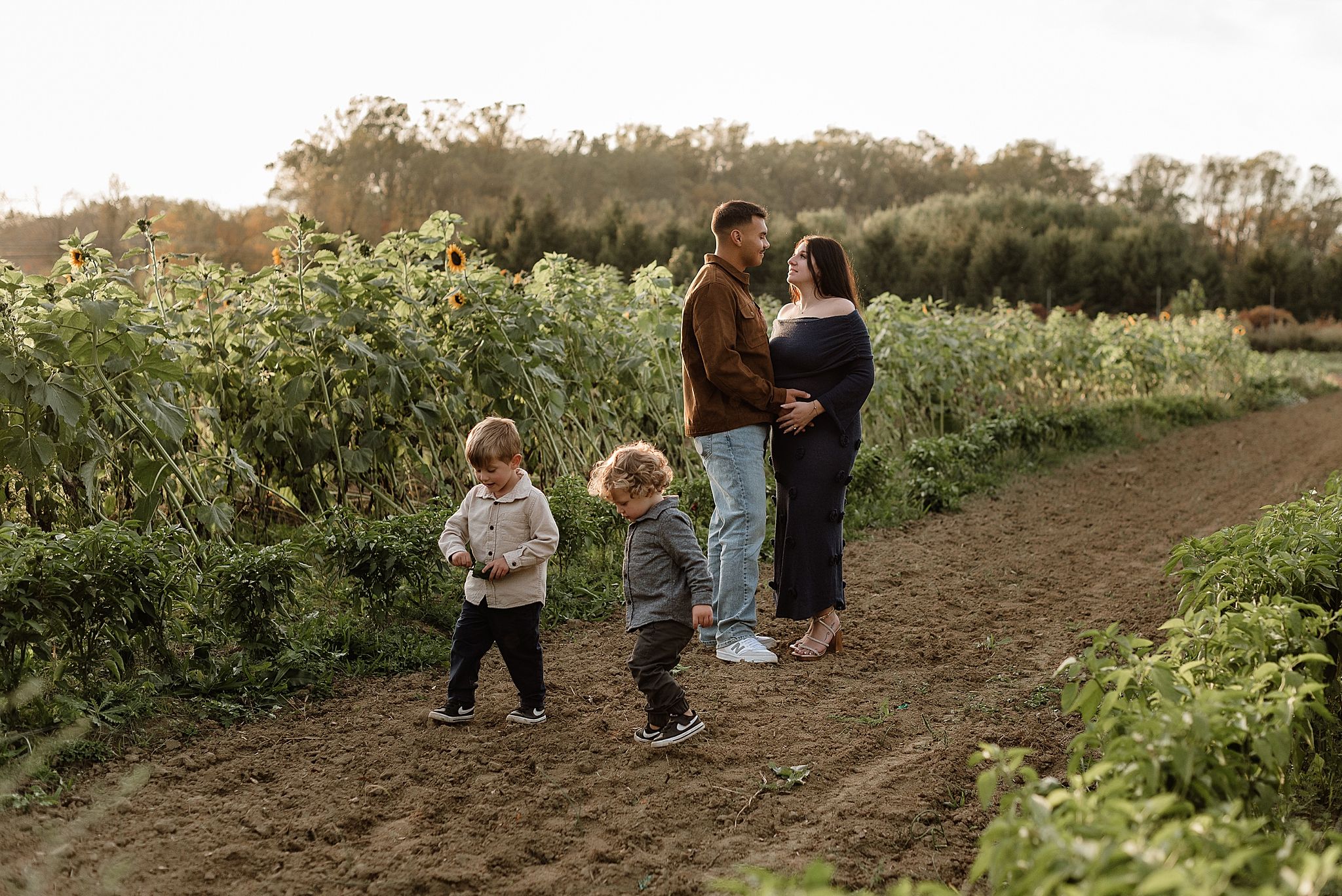 A group of people picking fresh vegetables in a community garden on a sunny autumn day.