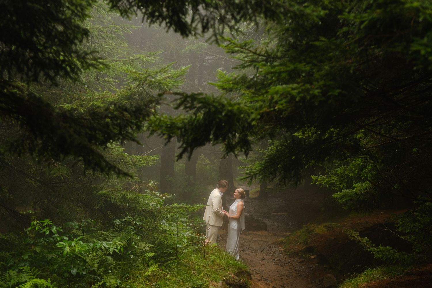 Rose + Reid Blue Ridge Parkway Elopement July 2025. The Hike Up To Black Balsam Knob in forest. Photography by Stephanie A Smith Photography