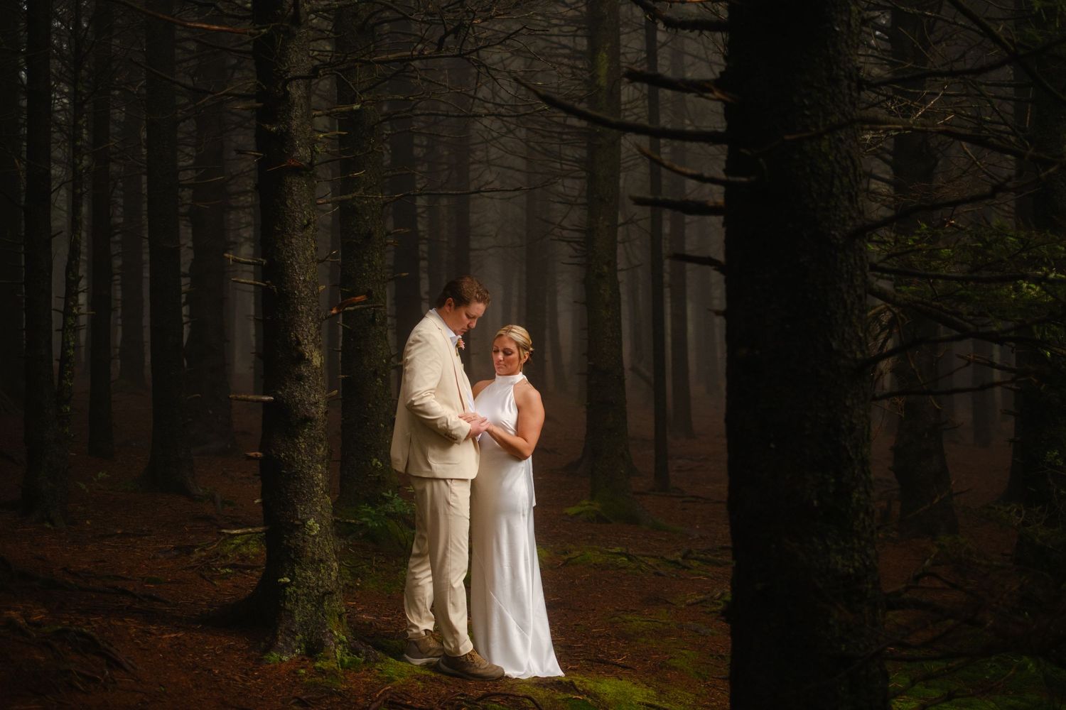 Black Balsam Art Loeb Trail Wedding Elopement. Rose and Reid in the Forest. July 2025. Photography by Stephanie A Smith Photography