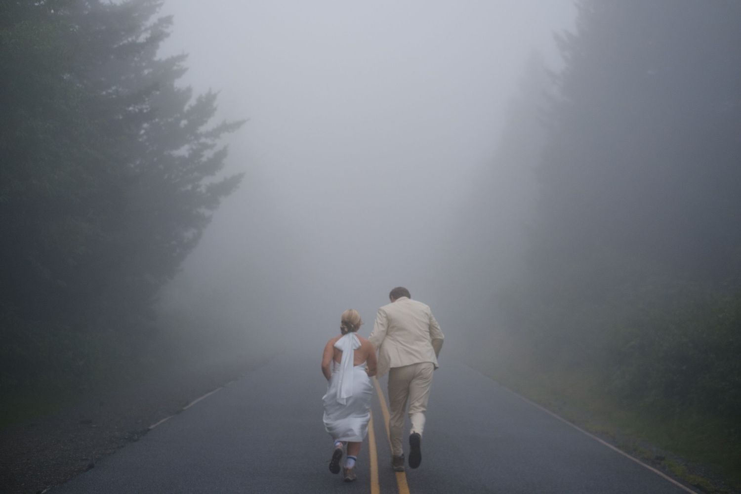 Rose + Reid Blue Ridge Parkway Elopement July 2025. Unpredictable Weather. The Fog Rolled In. Photography by Stephanie A Smith Photography