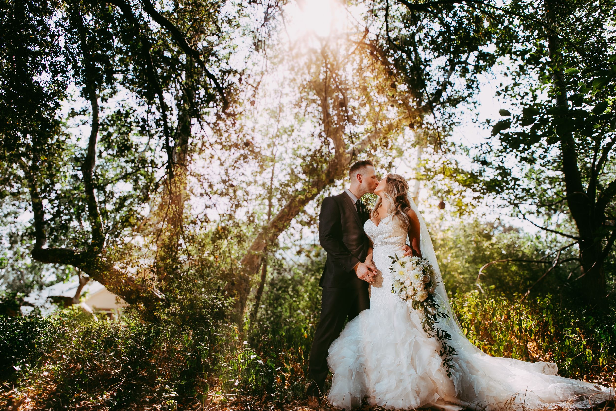 A couple in wedding attire poses in a sunlit wooded area creating a romantic backlit silhouette effect.