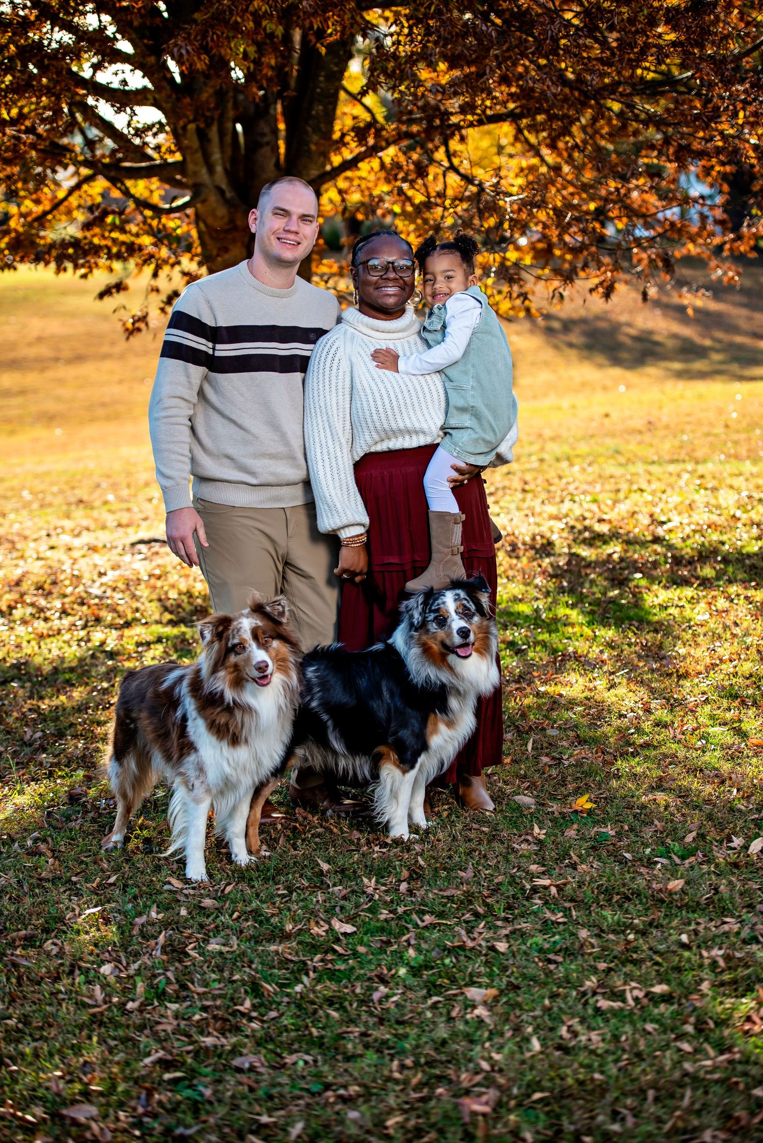 Two Australian Shepherd dogs sit with their family on fallen autumn leaves during a golden sunset photo session.