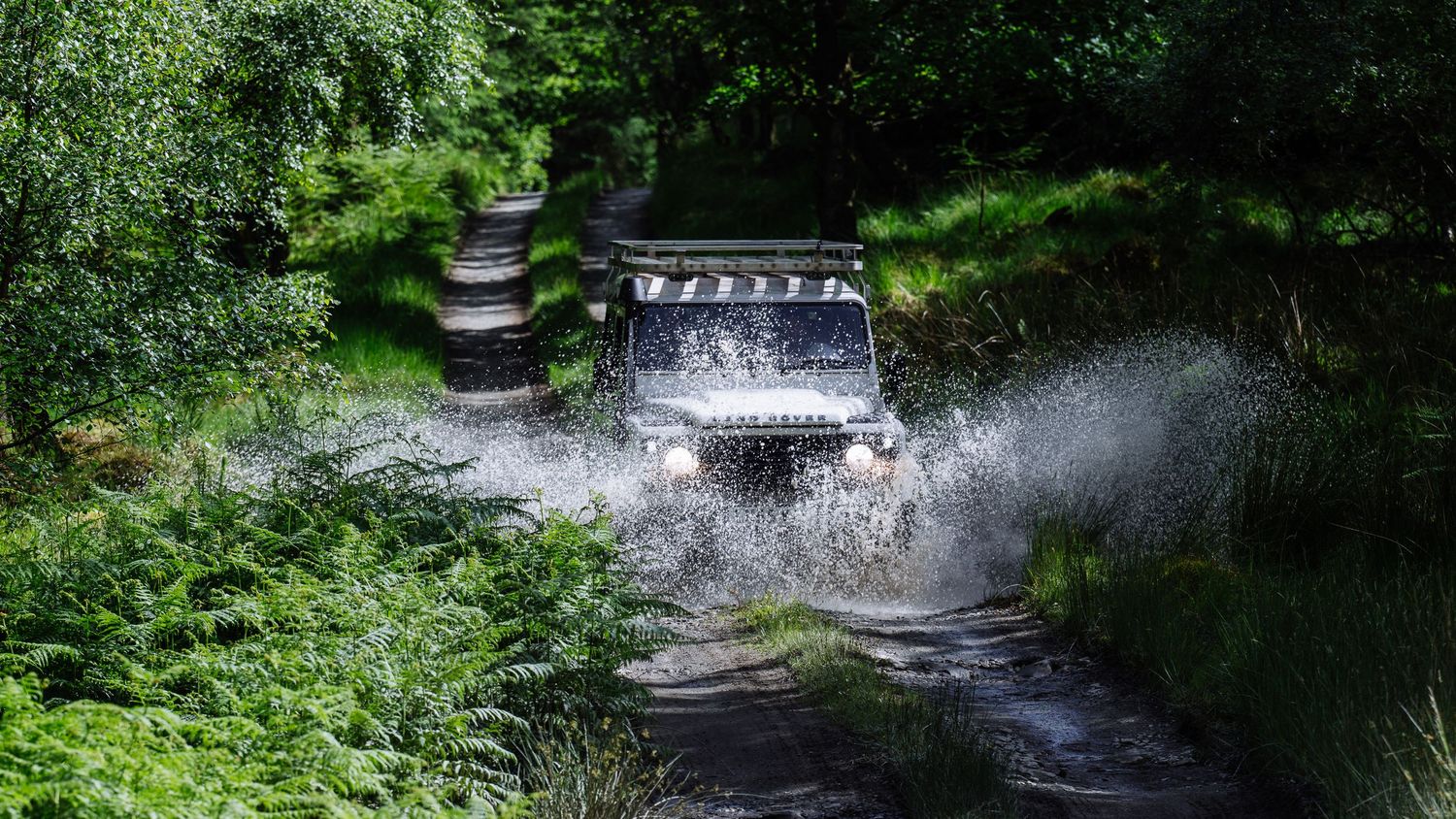 Car splashing through flooded forest road surrounded by lush green vegetation.
